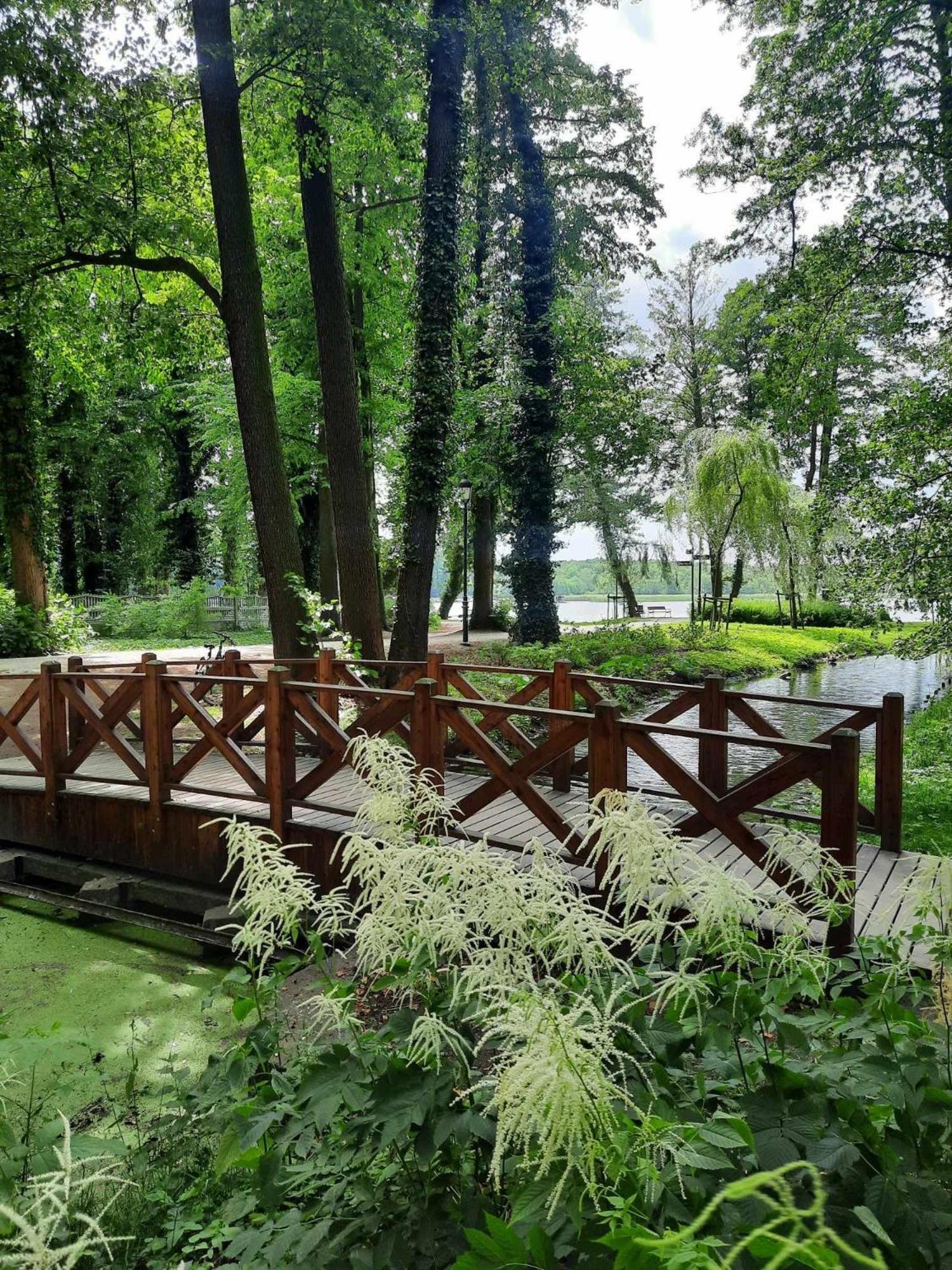 Twoja Przystan Slawa- Apartament Przy Plazy Exterior foto